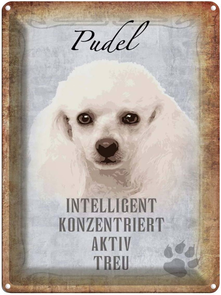 [LA-1790177] Blechschild 40x30 cm Pudel Hund aktiv