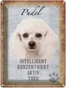 Blechschild 40x30 cm Pudel Hund aktiv