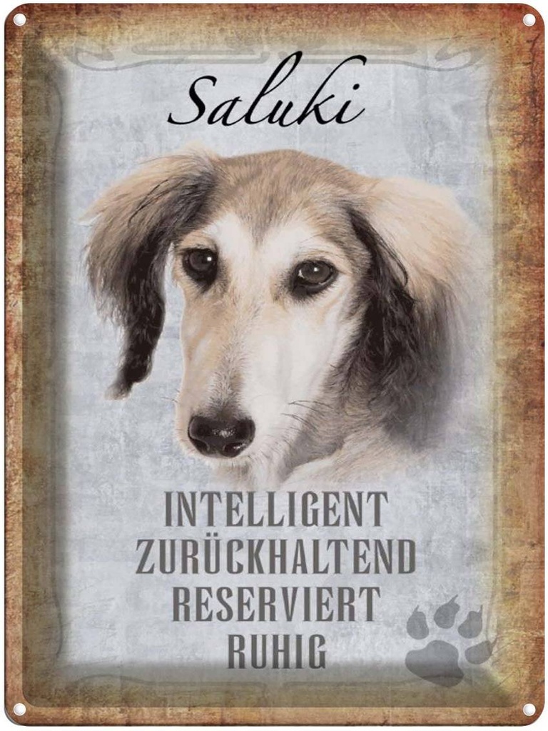 [LA-1790181] Blechschild 40x30 cm Saluki Hund ruhig