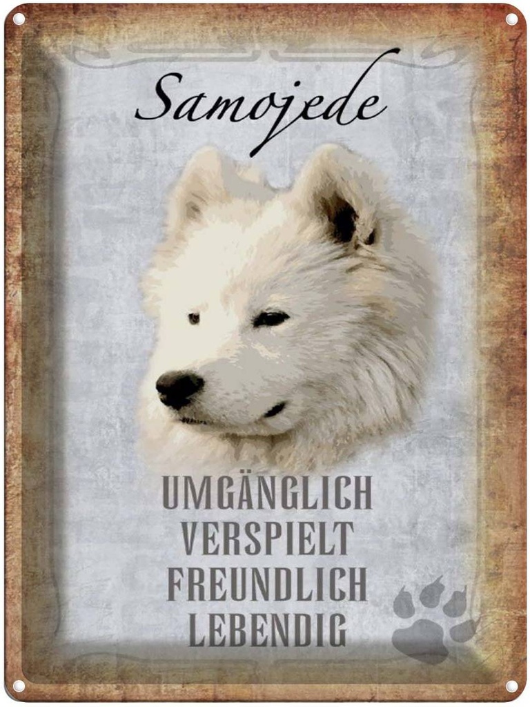 [LA-1790182] Blechschild 40x30 cm Samojede Hund