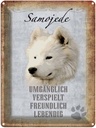 Blechschild 40x30 cm Samojede Hund