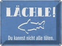 Blechschild 30x40 cm lächle Du kannst nicht alle Spruch Zitat