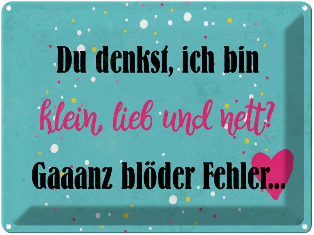 [LA-1790210] Blechschild 30x40 cm du denkst ich bin klein lieb Spruch Zitat