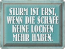 Blechschild 30x40 cm Sturm wenn Schafe keine Locken Spruch Zitat