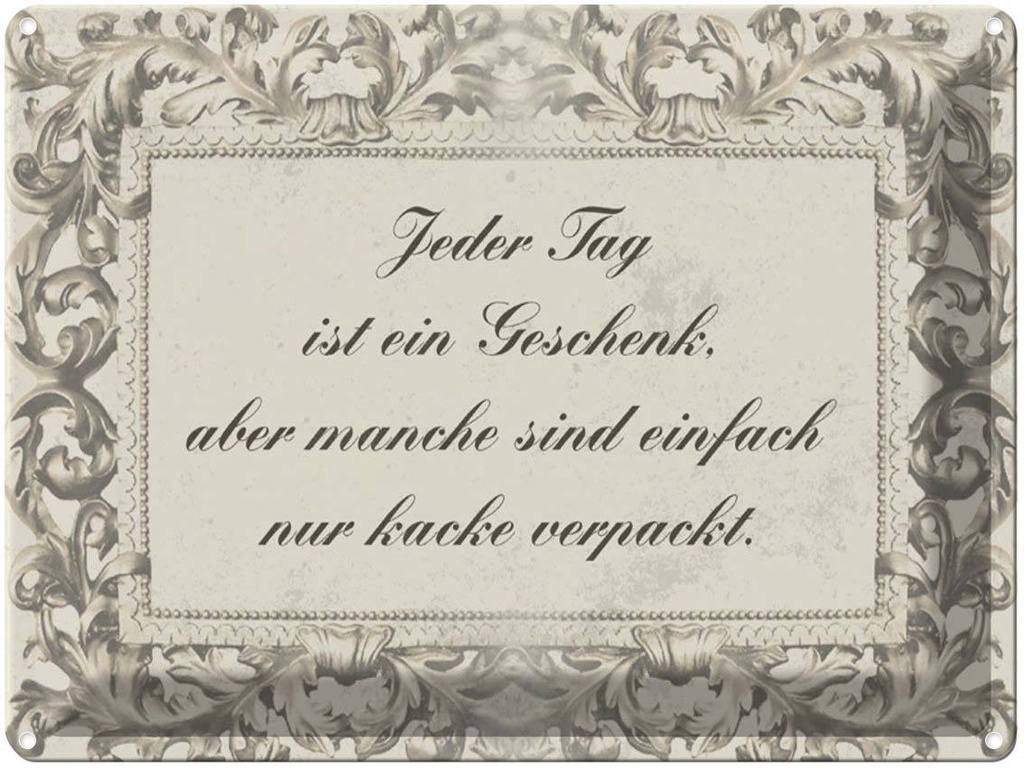 [LA-1790220] Blechschild 30x40 cm Jeder Tag ist ein Spruch Zitat