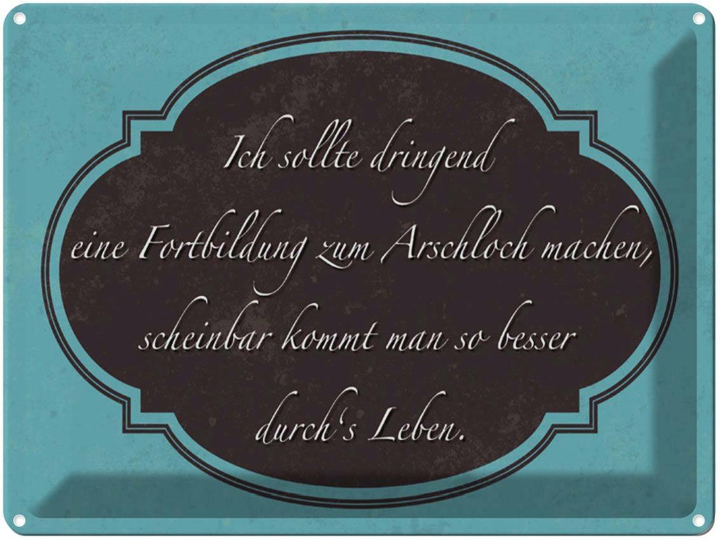 [LA-1790223] Blechschild 30x40 cm ich Fortbildung zum Arschloch Spruch Zitat