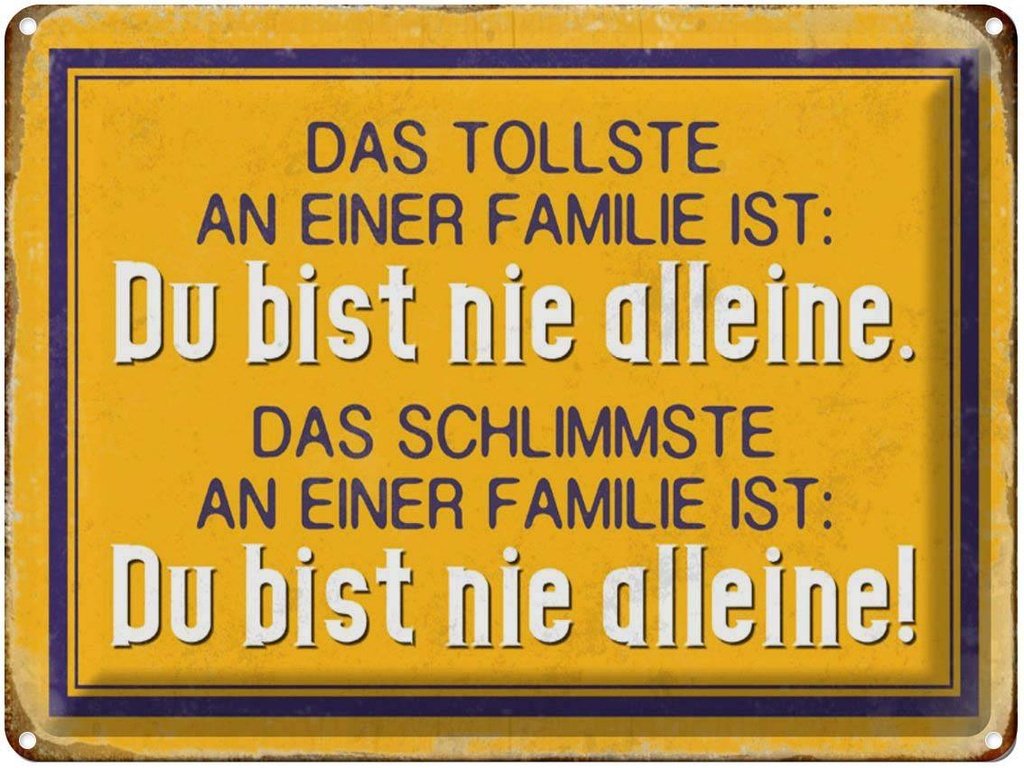 [LA-1790275] Blechschild 30x40 cm Retro tollste an Familie du nie alleine Spruch Zitat