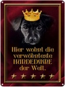 Blechschild 40x30 cm hier wohnt Hundedame der Welt Hund