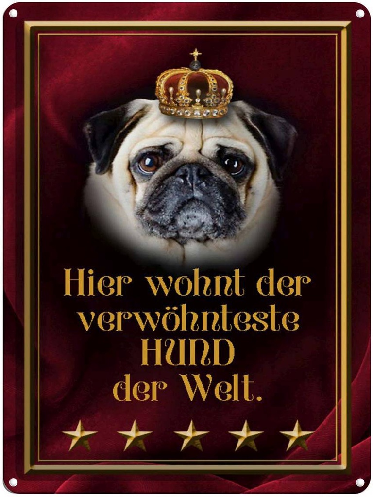 [LA-1790281] Blechschild 40x30 cm hier wohnt Hund der Welt