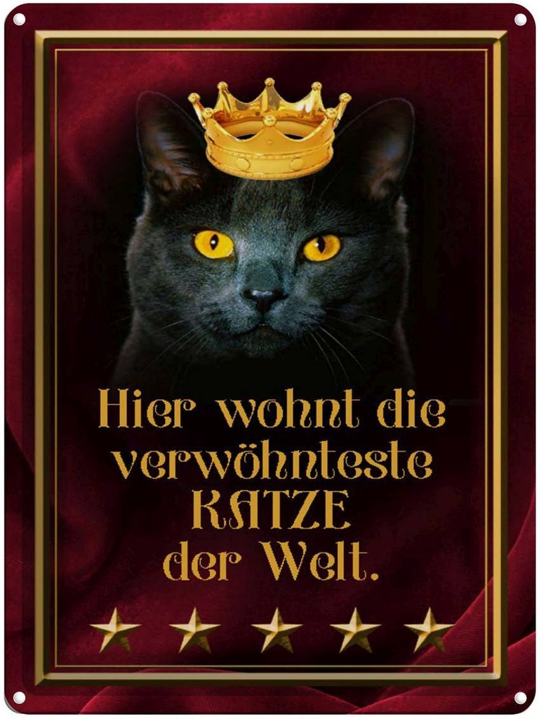 [LA-1790282] Blechschild 40x30 cm hier wohnt Katze der Welt