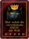 Blechschild 40x30 cm hier wohnt Katze der Welt