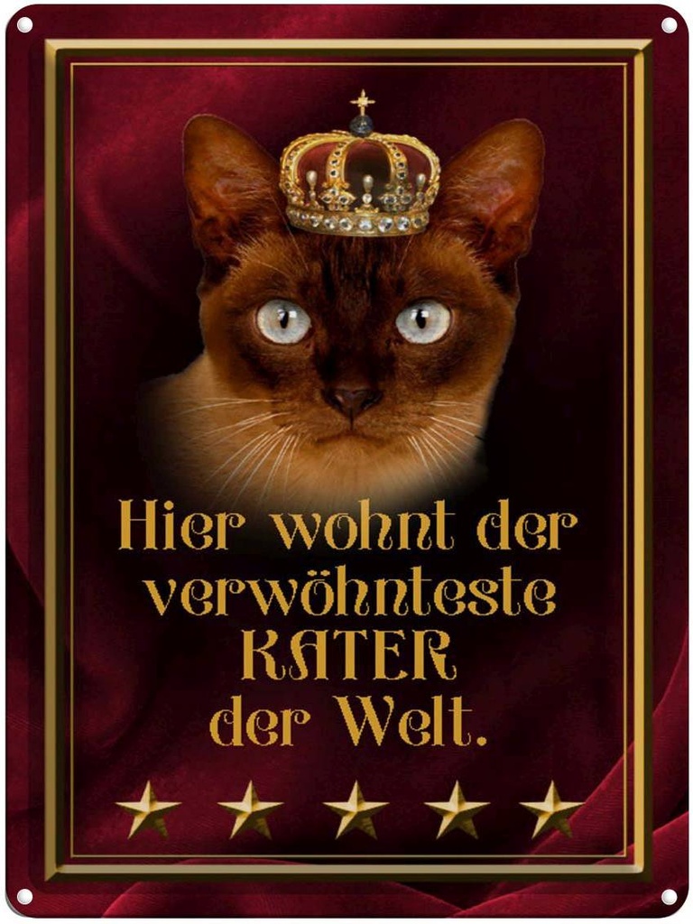 [LA-1790283] Blechschild 40x30 cm hier wohnt Kater der Welt Spruch Zitat
