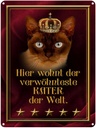 Blechschild 40x30 cm hier wohnt Kater der Welt Spruch Zitat