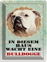 Blechschild 40x30 cm Hund in diesem Haus wacht Bulldogge
