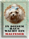 Blechschild 40x30 cm Hund in diesem Haus wacht Malteser