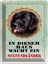 Blechschild 40x30 cm Hund diesem Haus wacht Neufundländer