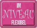 Blechschild 30x40 cm im Niveau flexibel Spruch Zitat