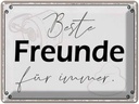 Blechschild 30x40 cm beste Freunde für immer Spruch Zitat