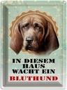 Blechschild 40x30 cm Hund in diesem Haus wacht Bluthund