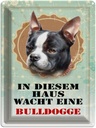 Blechschild 40x30 cm Hund Haus wacht eine Bulldogge