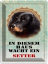 Blechschild 40x30 cm Hund in diesem Haus wacht ein Setter