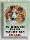 Blechschild 40x30 cm Hund in diesem Haus wacht ein Collie