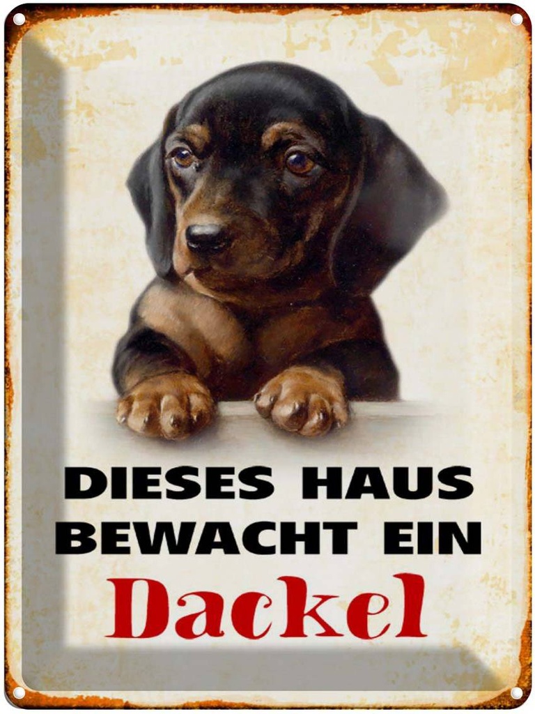 [LA-1790373] Blechschild 40x30 cm Hund dieses Haus bewacht ein Dackel
