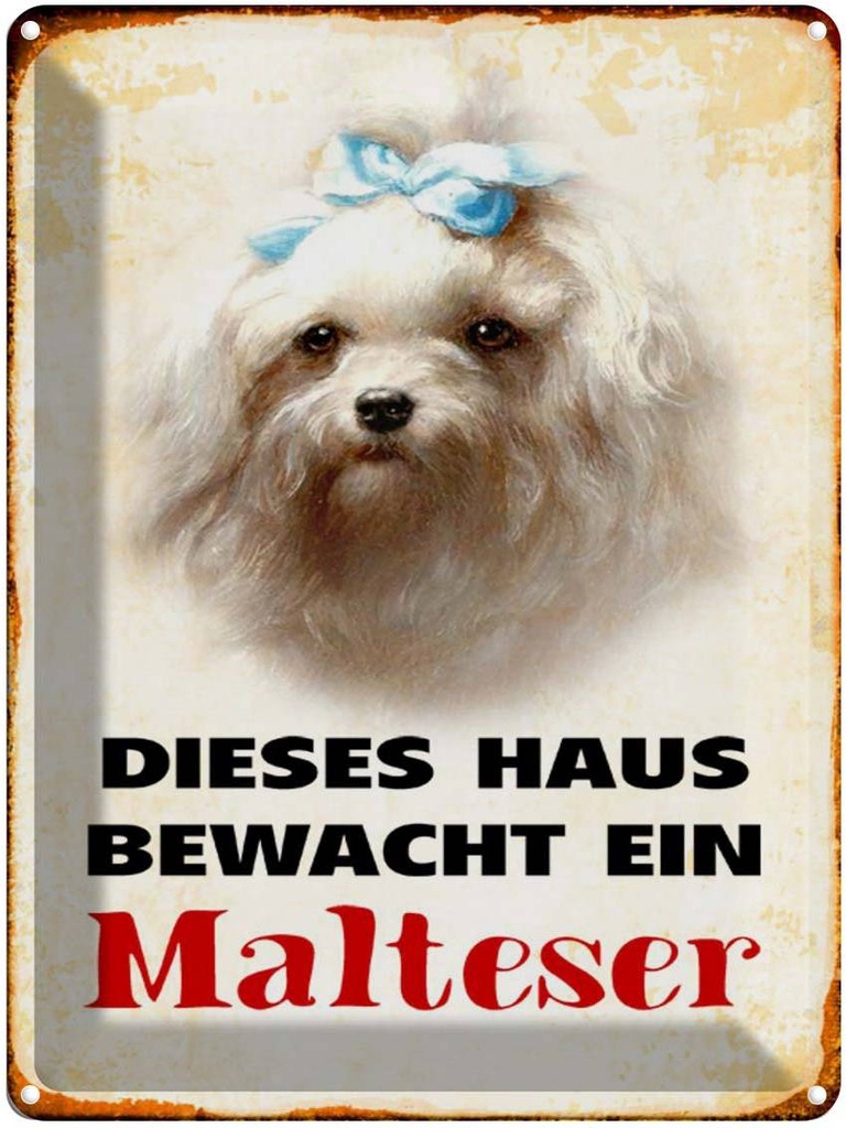 [LA-1790374] Blechschild 40x30 cm Hund dieses Haus bewacht ein Malteser
