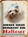 Blechschild 40x30 cm Hund dieses Haus bewacht ein Malteser