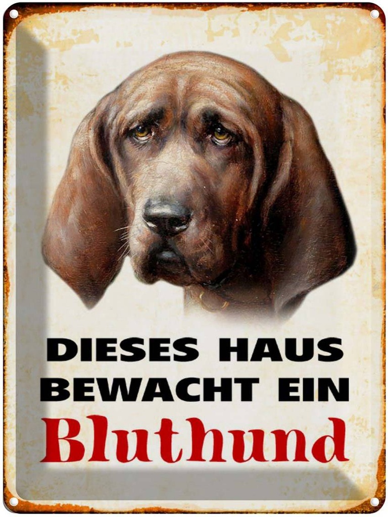 [LA-1790378] Blechschild 40x30 cm Hund dieses Haus bewacht ein Bluthund