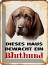 Blechschild 40x30 cm Hund dieses Haus bewacht ein Bluthund