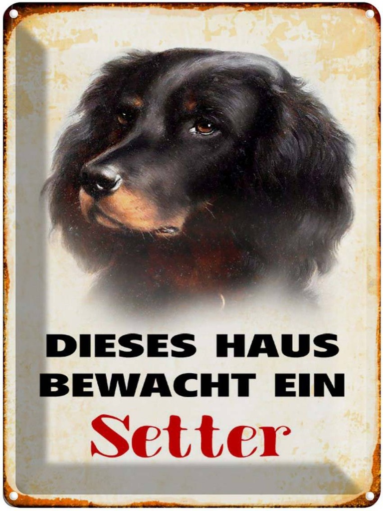 [LA-1790387] Blechschild 40x30 cm Hund dieses Haus bewacht ein Setter