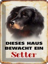Blechschild 40x30 cm Hund dieses Haus bewacht ein Setter