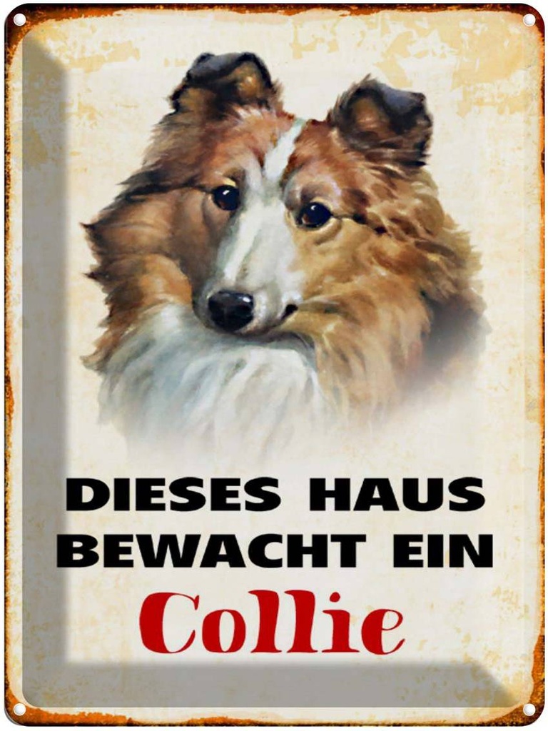 [LA-1790388] Blechschild 40x30 cm Hund dieses Haus bewacht ein Collie