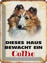 Blechschild 40x30 cm Hund dieses Haus bewacht ein Collie