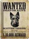 Blechschild 40x30 cm Hund wanted Scottish Terrier