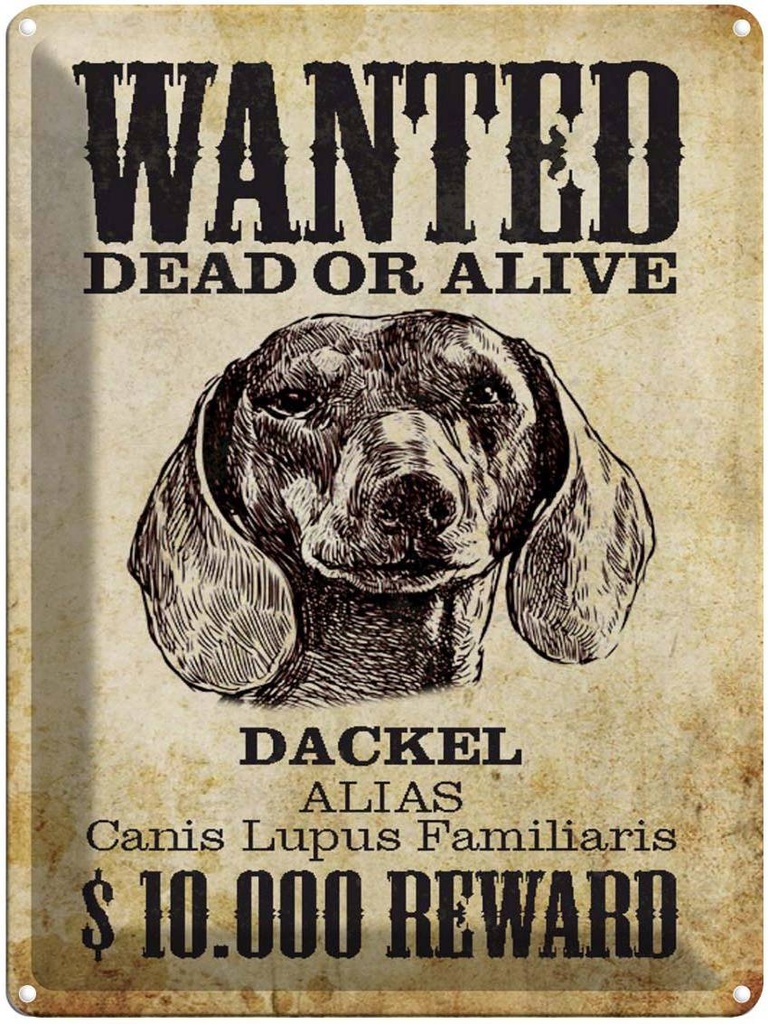 Blechschild 40x30 cm Hund wanted dead Dackel Alias