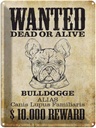 Blechschild 40x30 cm Hund wanted dead Bulldogge Alias