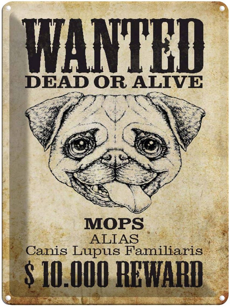 Blechschild 40x30 cm Hund wanted dead Mops Alias