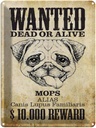 Blechschild 40x30 cm Hund wanted dead Mops Alias