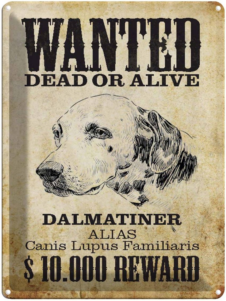 Blechschild 40x30 cm Hund wanted dead Dalmatiner