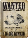 Blechschild 40x30 cm Hund wanted dead Dalmatiner