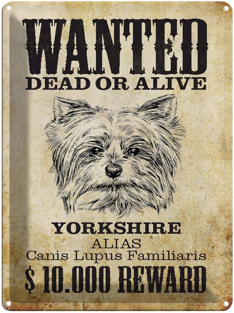 Blechschild 40x30 cm Hund wanted dead Yorkshire