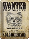 Blechschild 40x30 cm Hund wanted dead Yorkshire