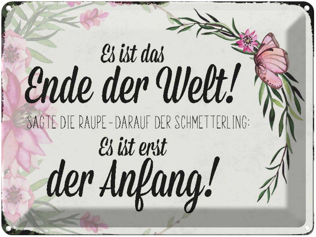 [LA-1790467] Blechschild 30x40 cm es ist das Ende der Welt sagte Spruch Zitat
