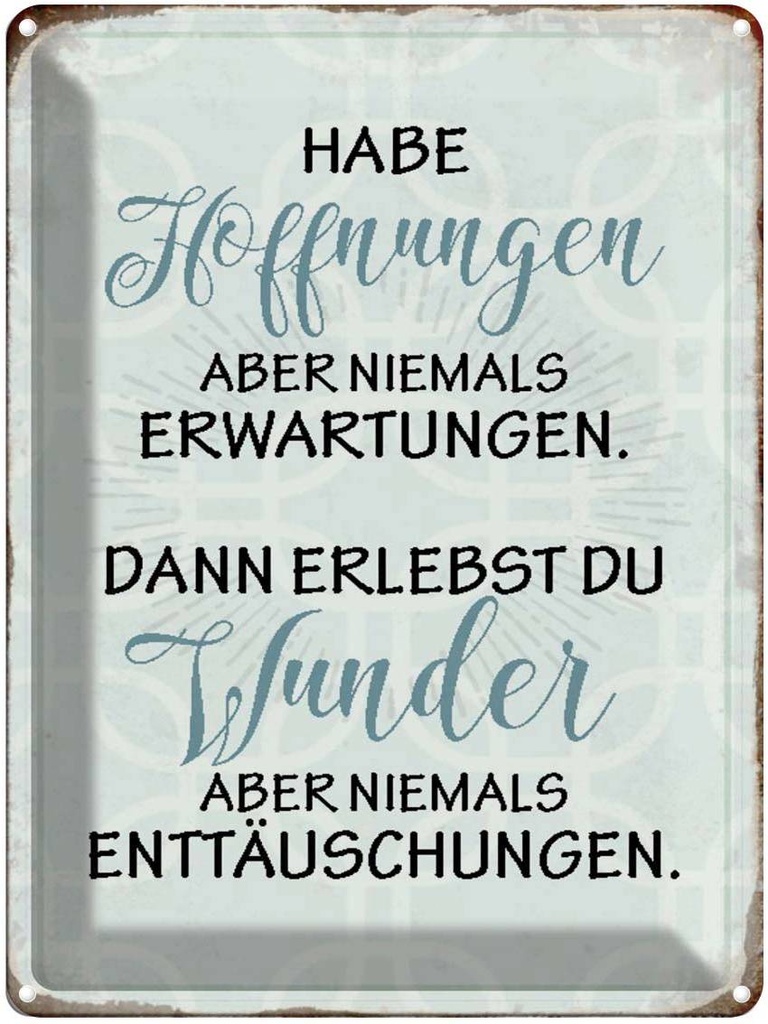 [LA-1790474] Blechschild 40x30 cm habe Hoffnungen nie Erwartungen Spruch Zitat