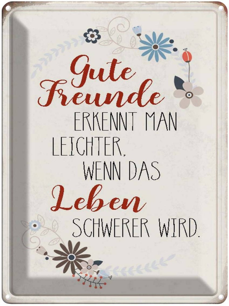 [LA-1790479] Blechschild 40x30 cm gute Freunde erkennt Spruch Zitat