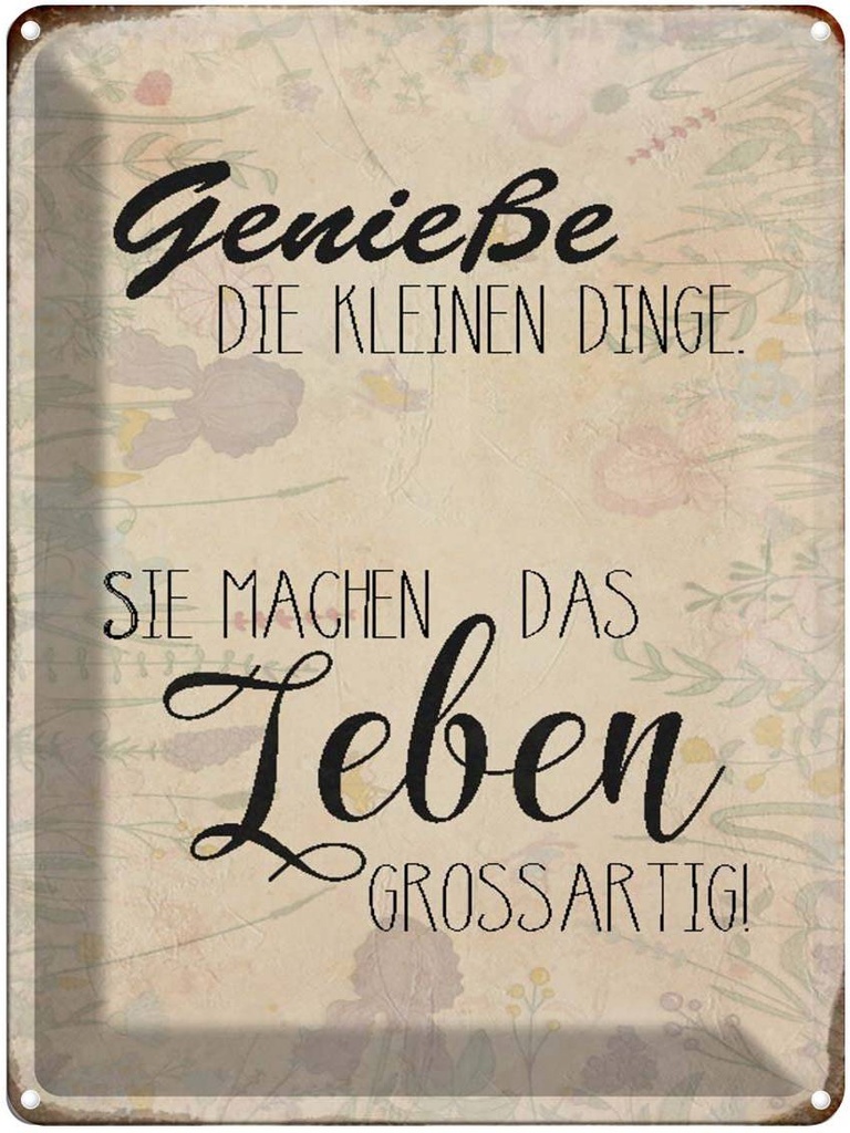 [LA-1790499] Blechschild 40x30 cm genieße kleine Dinge Leben Spruch Zitat