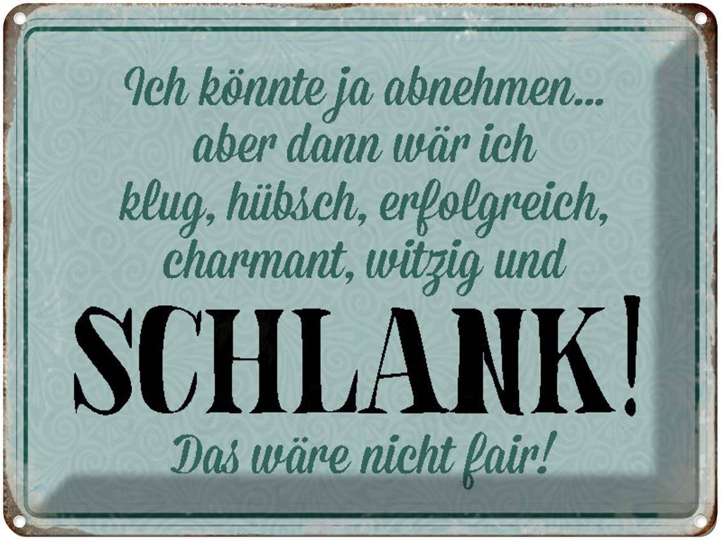 [LA-1790523] Blechschild 30x40 cm könnte abnehmen dann klug hübsch Spruch Zitat