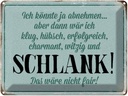 Blechschild 30x40 cm könnte abnehmen dann klug hübsch Spruch Zitat